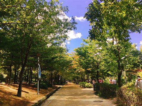 Area yang patut masuk daftar kunjung adalah the legend star. 7 Taman yang Wajib Dikunjungi Ketika Berada di Korea Selatan | Namsan Korean Course