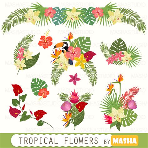 Exotic Flower Clip Art 20 Free Cliparts Download Images