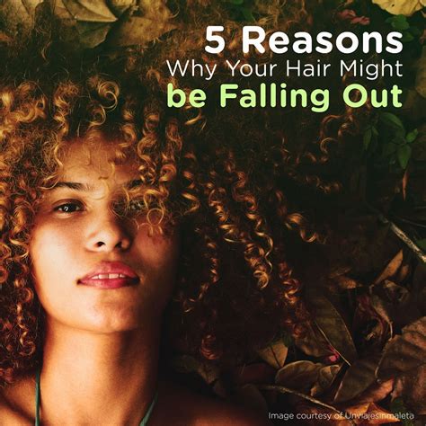 5 Reasons Why Your Hair Might Be Falling Out Megabites