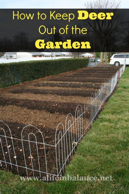 To keep deer away from apple trees, hang nylon stockings filled with human hair from the limbs so that the clumps of hair are suspended about four feet from the ground. how to keep deer out of the garden | Home & Garden | Pinterest