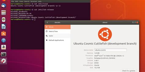 Ubuntu 18 10 Cosmic Cuttlefish Is Now Officially Open For Flickr
