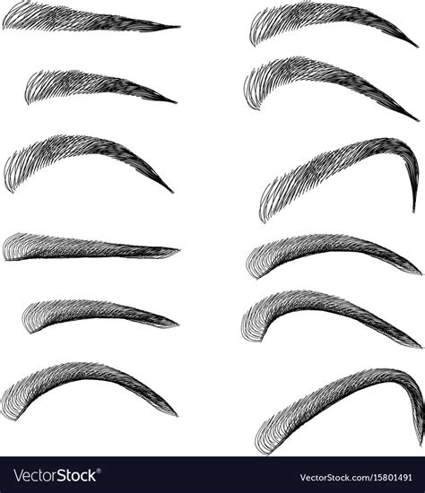 Set Of Outline Eyebrows In Different Shapes And Vector Image