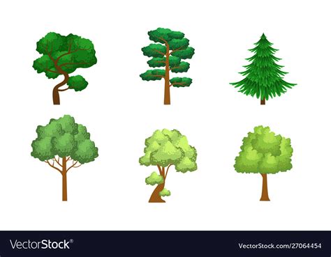 Collection Coniferous And Deciduous Trees Vector Image