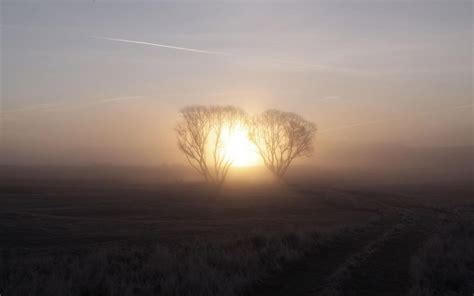 Sunrise Morning Fog Trees Dawn Wallpaper Nature And Landscape