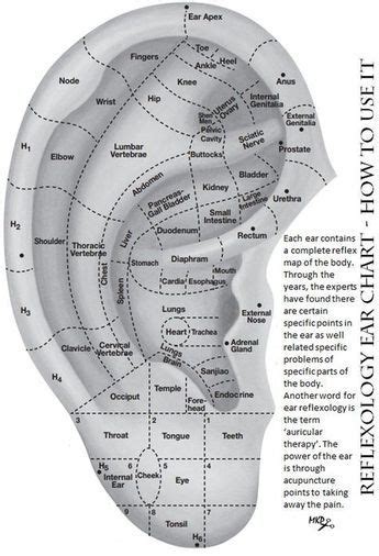 10 Pressure Points For Ears Treat Ear And Headaches Holistically