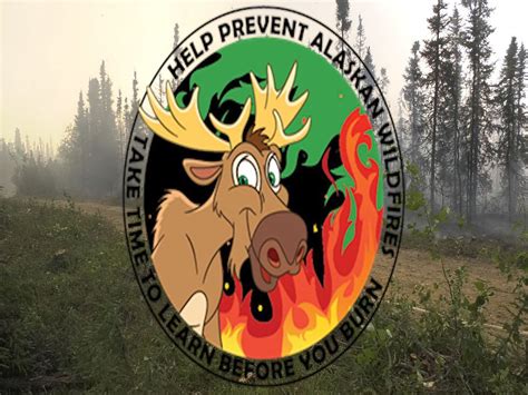 Alaska Looks To The Public To Name New Fire Safety Mascot