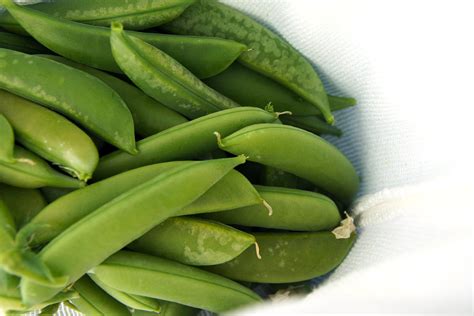 How To Grow Snap Peas With Pictures Ehow