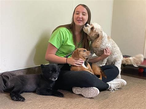 Pet Spas Pamper and Play – Grooming, Daycare and Enrichment Center