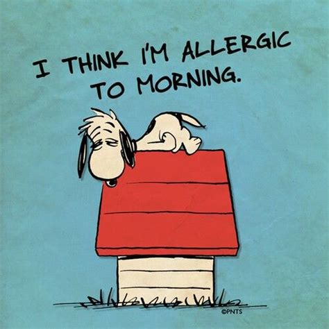 I Think Im Allergic To Mornings Snoopy Love Charlie Brown And Snoopy