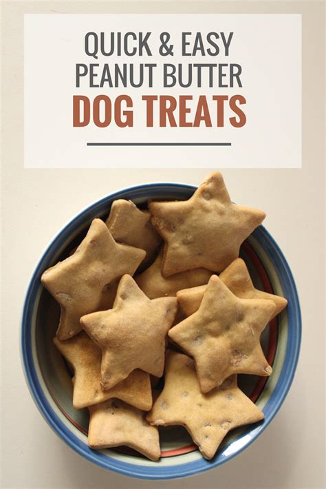 Quick And Easy Peanut Butter Dog Treats Puppy Leaks