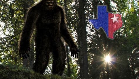 Get Ready To Hunt Sasquatch At The Southeast Texas Bigfoot Conference