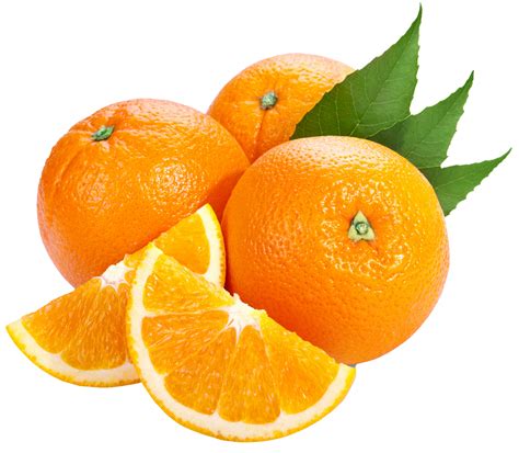 Orange Png Clip Art Library