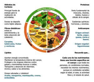 Tip Plato del Bien Comer y Pirámide Nutricional Plato del bien comer