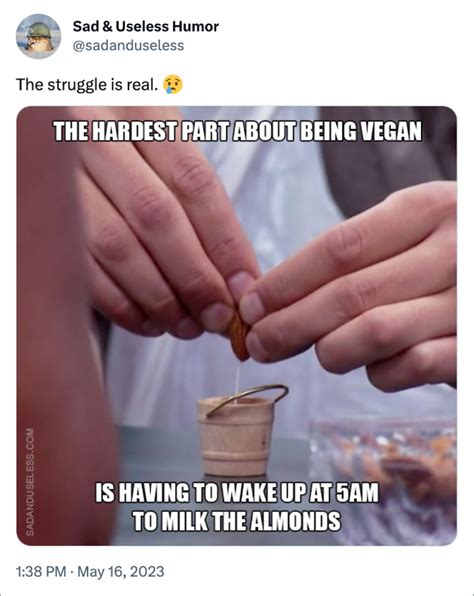 Funny Vegan Memes To Brighten Your Day The Funniest Blog