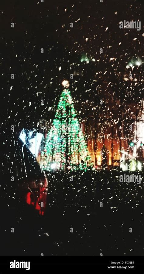 Christmas Tree Seen Through Window High Resolution Stock Photography