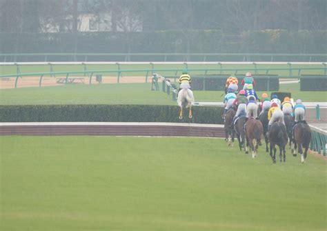 第17回 中山グランドジャンプ 予想。 【競馬ブック】中山グランドジャンプ 2015 予想【tmトーク】. 【中山グランドジャンプ2019予想】今年もオジュウチョウサン