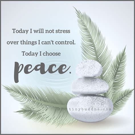 Today I Choose Peace Peace Tiny Buddha Motivational Words
