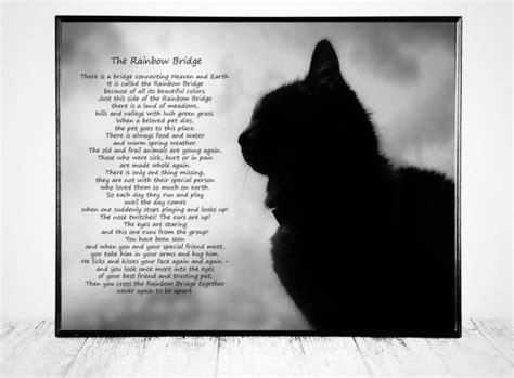 Her death must have left a wound inside me; The Rainbow Bridge, Poem Rainbow Bridge, Rainbow Bridge ...
