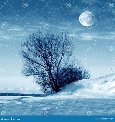 Winter Nature Moon And Tree Stock Image Image Of Snow Scenery 46618611