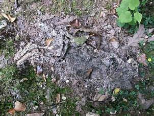 Creative Education Games: Decomposition