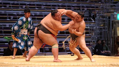 Biggest Sumo Wrestlers Ever Who Makes It Into Top Heaviest