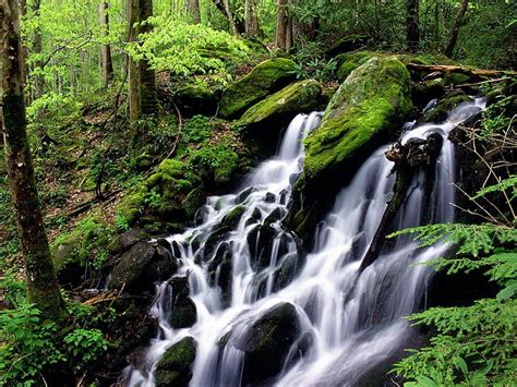 Hd Wallpaper Waterfall Wallpaper Falls Stones Moss Wood Cascades