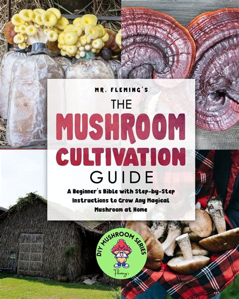 Buy The Mushroom Cultivation Guide A Beginners Bible With Step By