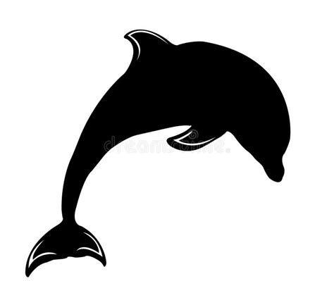 Jumping Dolphin Silhouette Vector Stock Vector Illustration Of Head