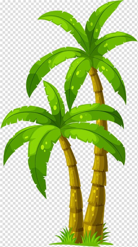 Cartoon animation coconut model sheet, coconut tree, 3d computer graphics, food png. Coconut Tree Drawing, Palm Trees, Cartoon, Leaf ...