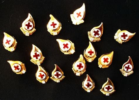 17 Red Cross Gallon Blood Donor Pins By Glassing On Etsy