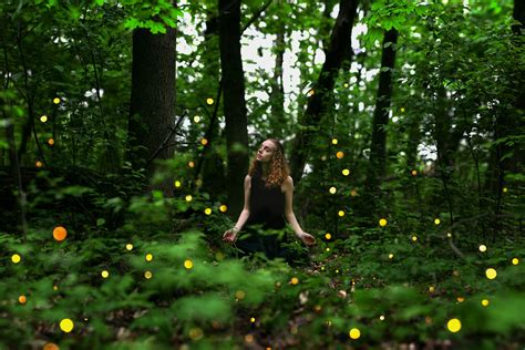 Wallpaper Sunlight Trees Lights Forest Redhead Model Blonde Looking Away Nature