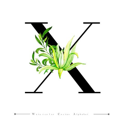 Alphabet Letter X With Watercolor Cactus And Leaves 684799 Vector Art