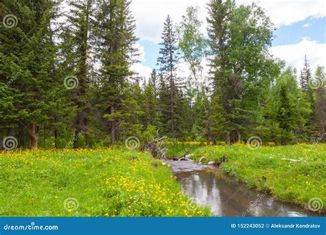 A Picturesque Place In The Altai Mountains With A Small River And