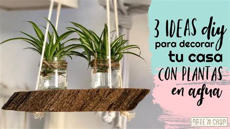 Son plantas de interior que en ocasiones se decide plantarlas en el jardín para darle un toque de color. Decorar con plantas en agua - 3 ideas DIY - YouTube