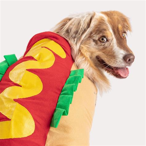 Hot Dog Costume - Trendy Pet Paradise