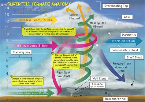 2014 Fact Of The Week Supercell Tornado Anatomy By Aquadragontrs On