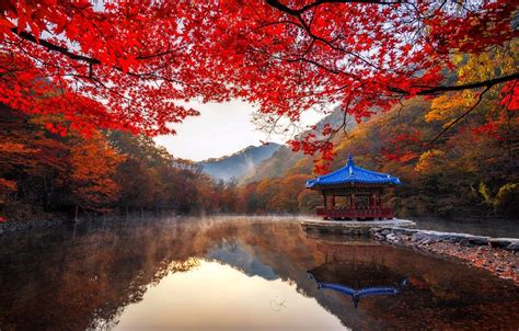 South Korea Autumn Wallpapers Wallpaper Cave