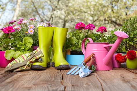 Garden Supplies Your Complete Guide