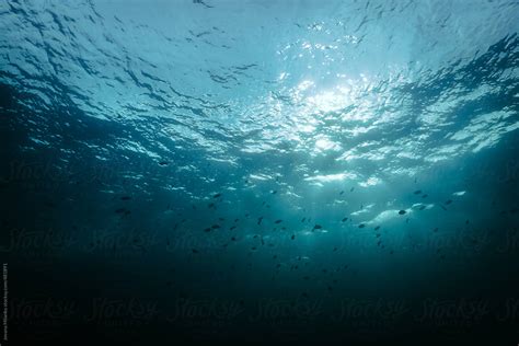 Blue Ocean Water Surface Seen From Underwater Del Colaborador De