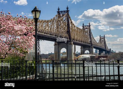 Queensborough Bridge High Resolution Stock Photography And Images Alamy