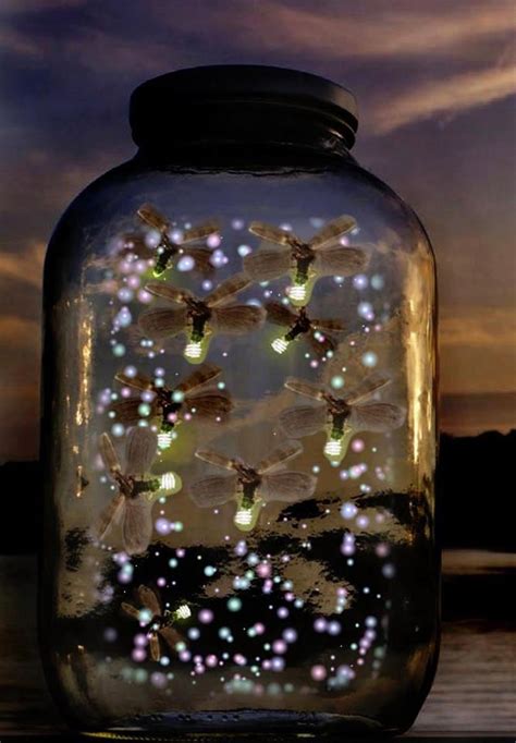 Light Fireflies In A Jar Firefly Catching Fireflies