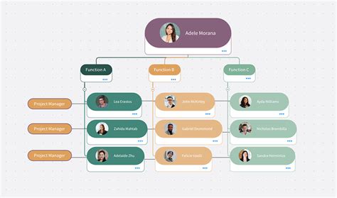 What Is A Functional Chart And How To Make One Mindmanager