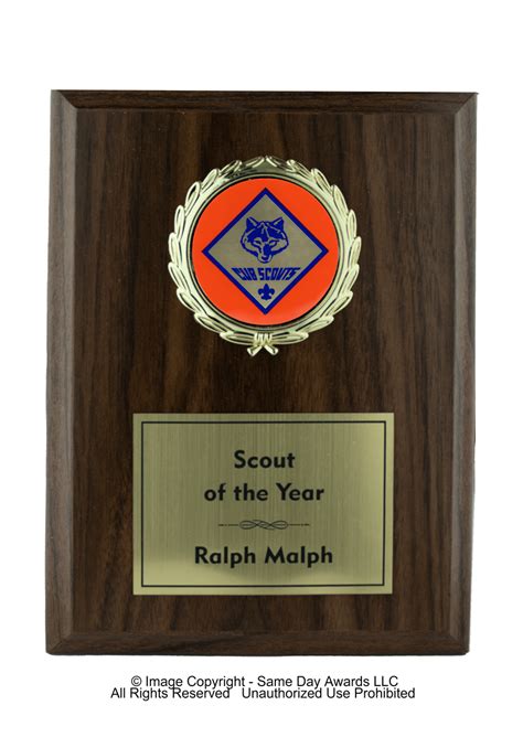 Magic Plaque Cub Scouts 5x7 To 7x9 Inches