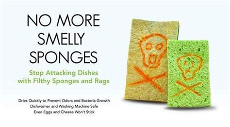 Sponge Free Alternative No More Gross Sponges Keep Your Kitchen Safe From Harmful Bacteria