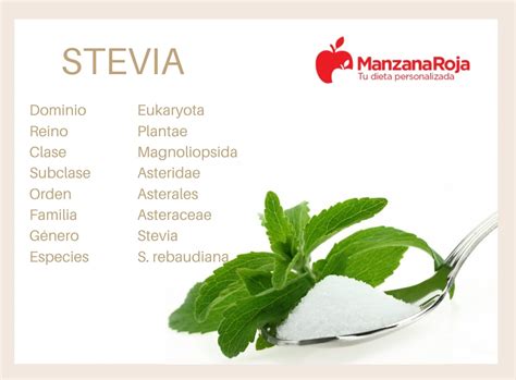 estevia qué es propiedades beneficios y cómo usar este edulcorante natural manzanaroja dieta