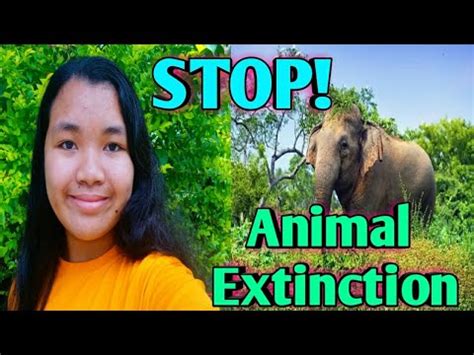 5 Ways to Prevent Animal Extinction/Recil Mae Vlogs 