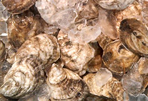 Where do pearls come from naturally. How Do Oysters Form Pearls? • Harbor Fish Market