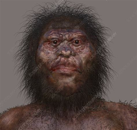 Www.annabac.com | find out more here. Aufgabe Abitur Homo Naledi : Is Homo Naledi A New Species Of Human Ancestor? Kids News ...