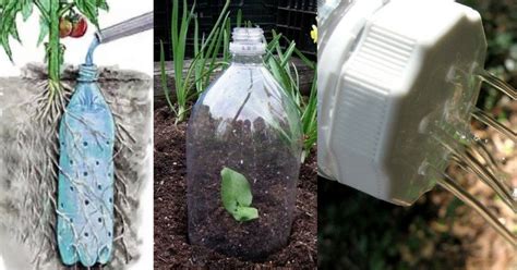 Save Your Plastic Bottles Youre Gonna Need Them For Your Garden