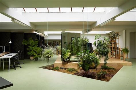 Want to learn more about achieving this look? Indoor garden design ideas - types of indoor gardens and plant tips